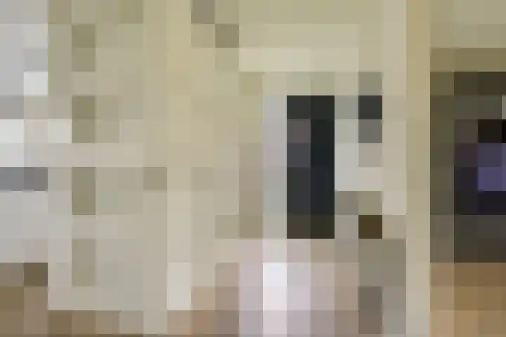 Flavius 5 Wijk bij Duurstede thumbnail 5