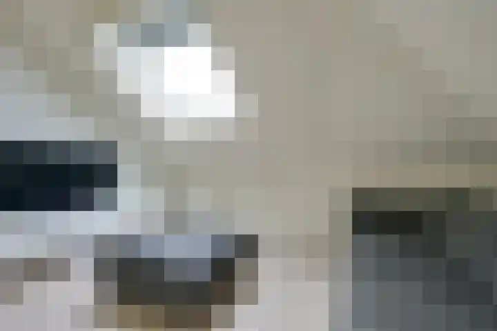 Flavius 5 Wijk bij Duurstede thumbnail 50