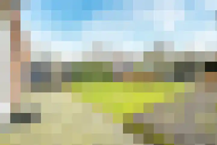 Flavius 5 Wijk bij Duurstede thumbnail 63