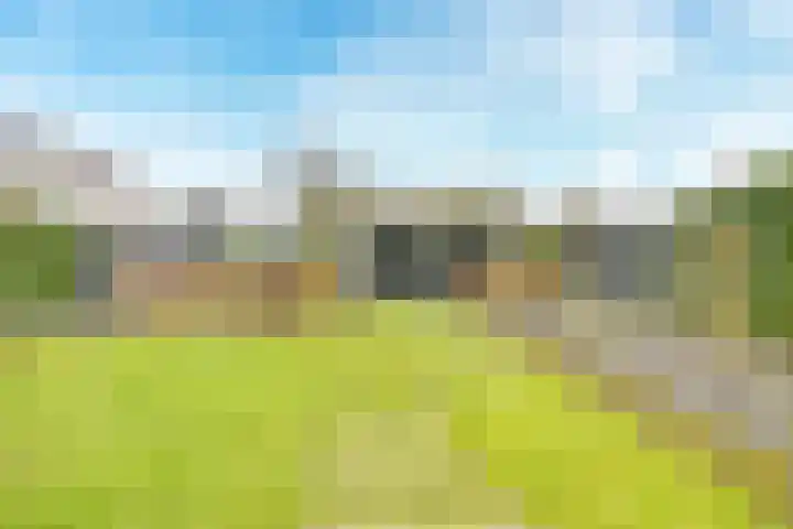 Flavius 5 Wijk bij Duurstede thumbnail 64