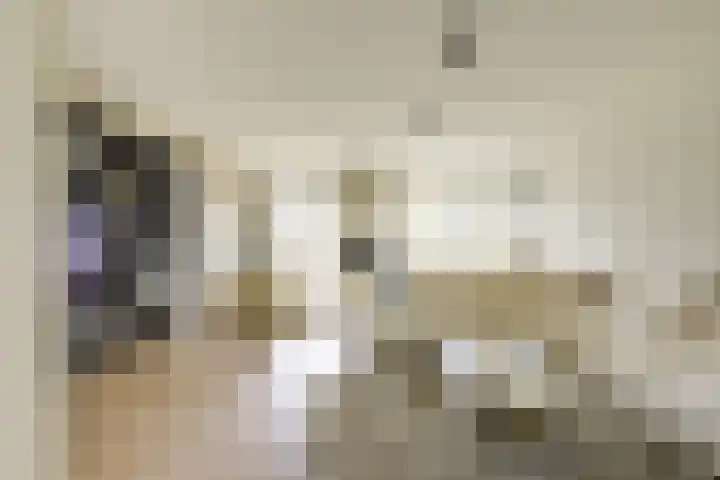 Flavius 5 Wijk bij Duurstede thumbnail 7