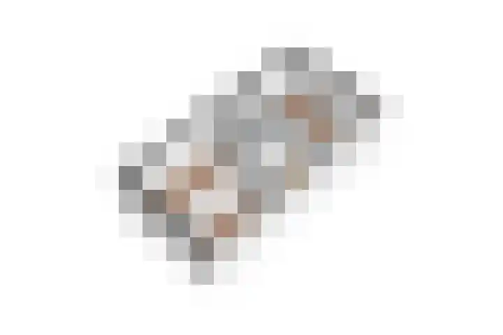 Flavius 5 Wijk bij Duurstede thumbnail 74
