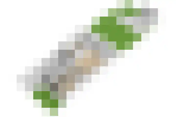 Flavius 5 Wijk bij Duurstede thumbnail 83