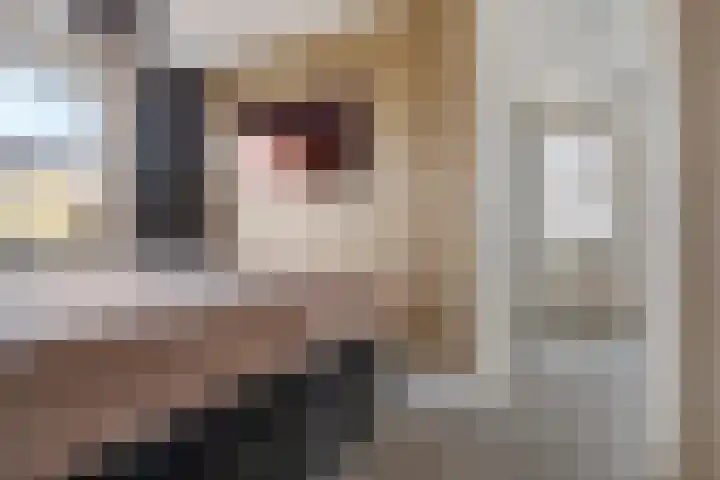 Fleminghage 18 Emmeloord thumbnail 26