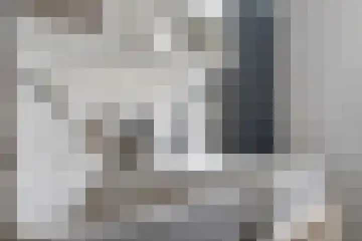 Fleminghage 18 Emmeloord thumbnail 33