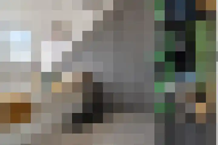 Fleminghage 18 Emmeloord thumbnail 35