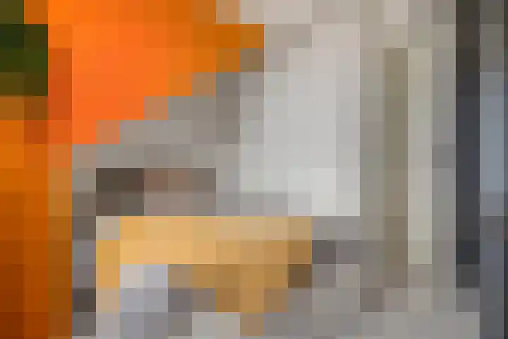 Fleminghage 18 Emmeloord thumbnail 38