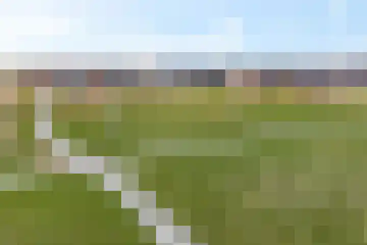Fleminghage 18 Emmeloord thumbnail 44