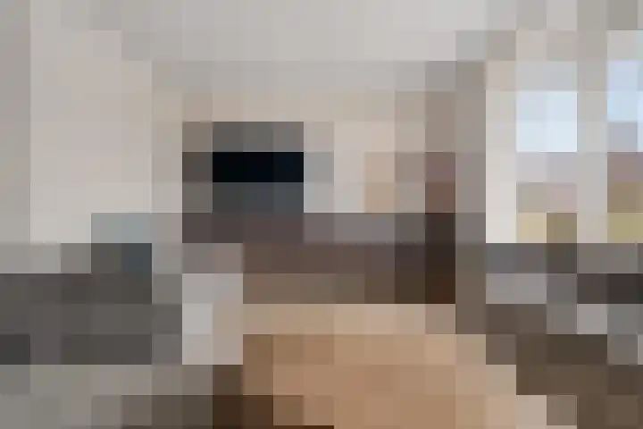 Fleminghage 18 Emmeloord thumbnail 9