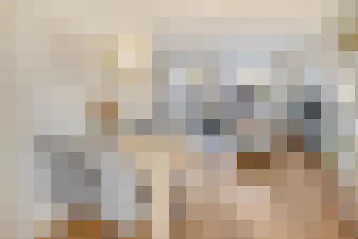 Fleringen 134 's-Hertogenbosch thumbnail 10