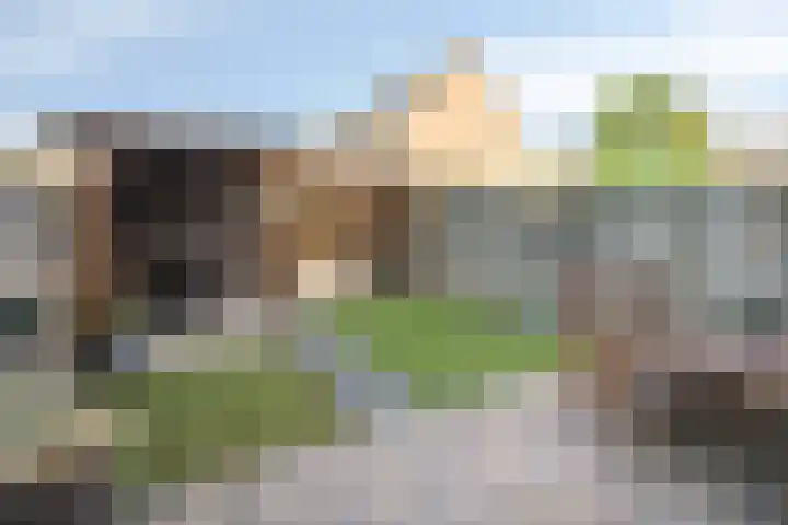 Fleringen 134 's-Hertogenbosch thumbnail 11