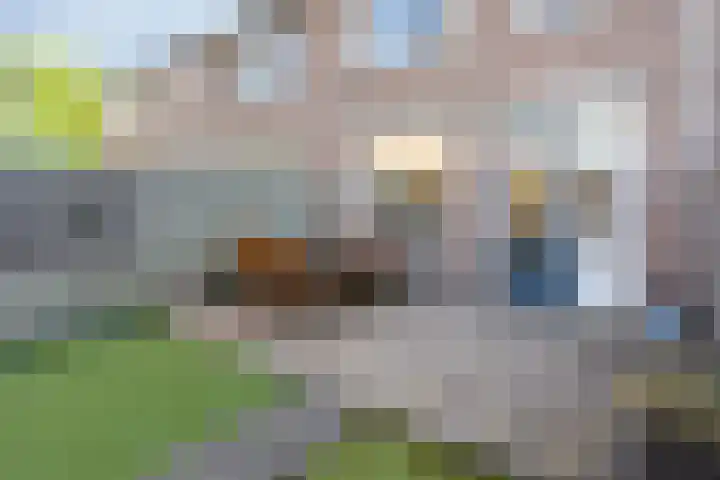 Fleringen 134 's-Hertogenbosch thumbnail 14