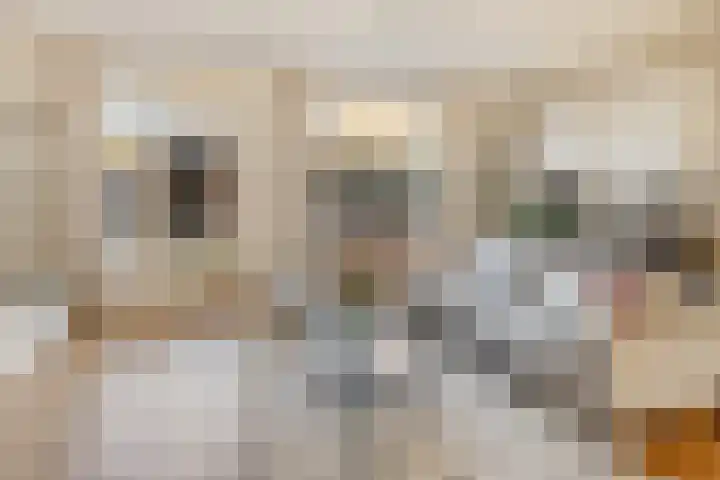 Fleringen 134 's-Hertogenbosch thumbnail 5