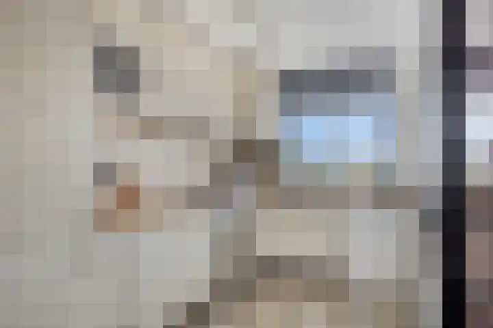 Fleringenstraat 89 Rotterdam thumbnail 12