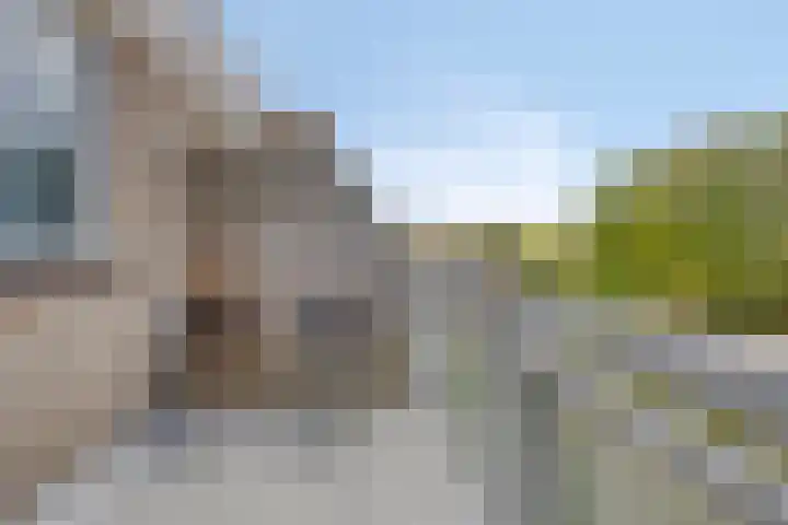 Fleringenstraat 89 Rotterdam thumbnail 9