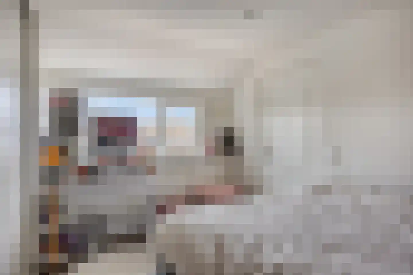 Fleskensstraat 5 Geldrop thumbnail 42