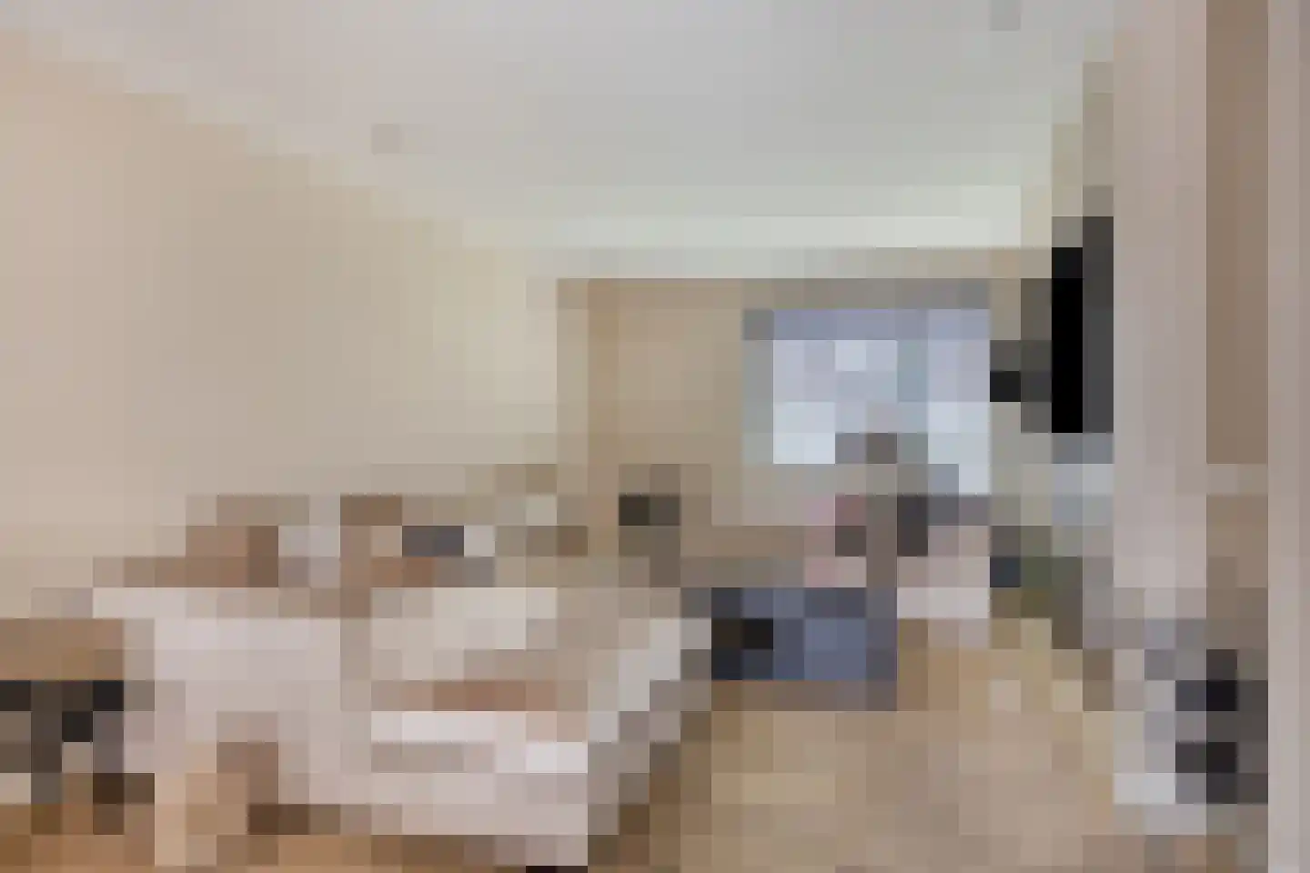 Fleskensstraat 5 Geldrop thumbnail 6