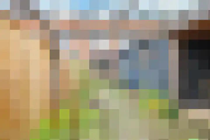 Flessestraat 32 Heteren thumbnail 48