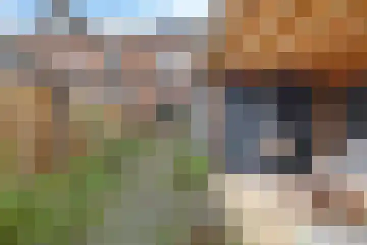 Flessestraat 32 Heteren thumbnail 58