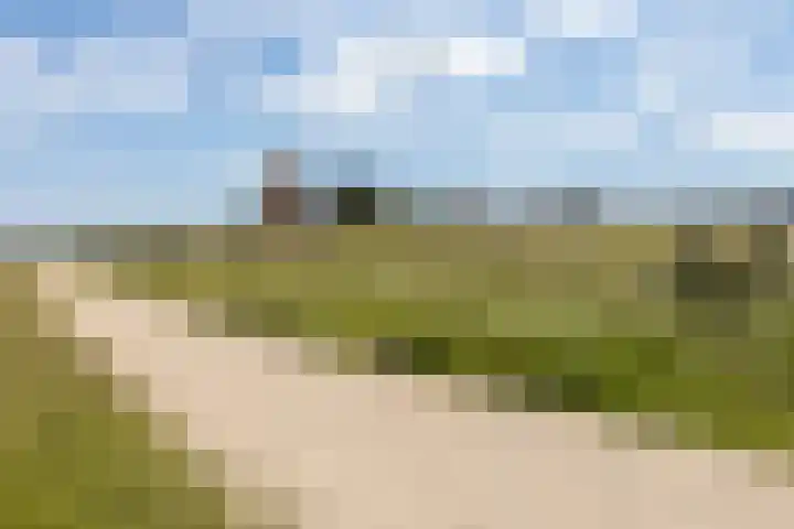 Flessestraat 32 Heteren thumbnail 72