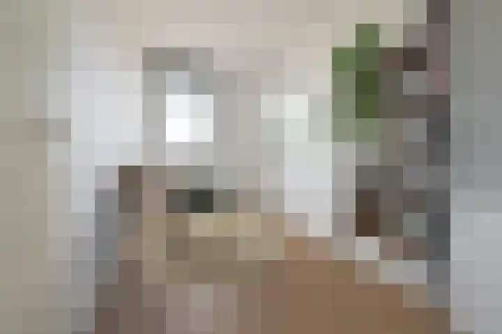 Flettine 16 Leerdam thumbnail 8