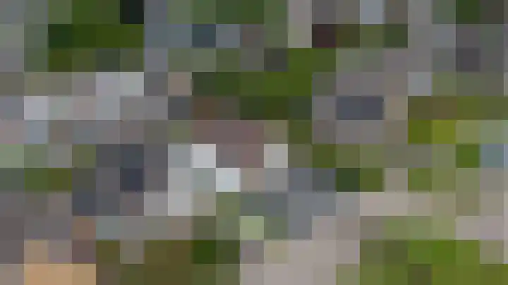 Flevo 110 Drachten thumbnail 42