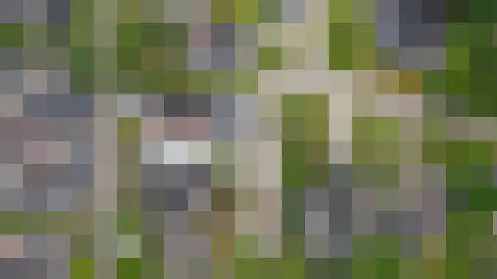Flevo 110 Drachten thumbnail 43