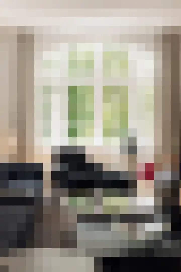 Flevolaan 3 Huizen thumbnail 10