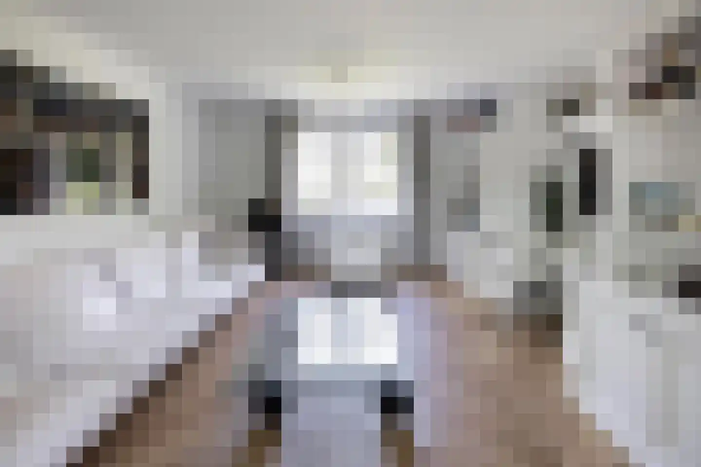 Flevolaan 3 Huizen thumbnail 18