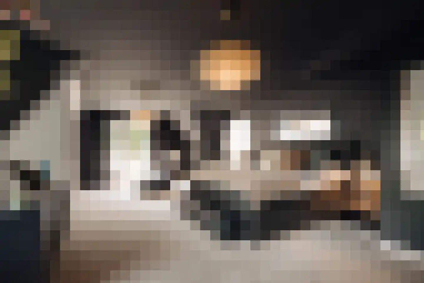 Flevolaan 3 Huizen thumbnail 20