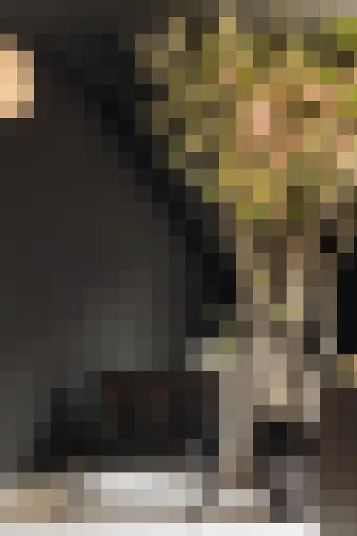 Flevolaan 3 Huizen thumbnail 21
