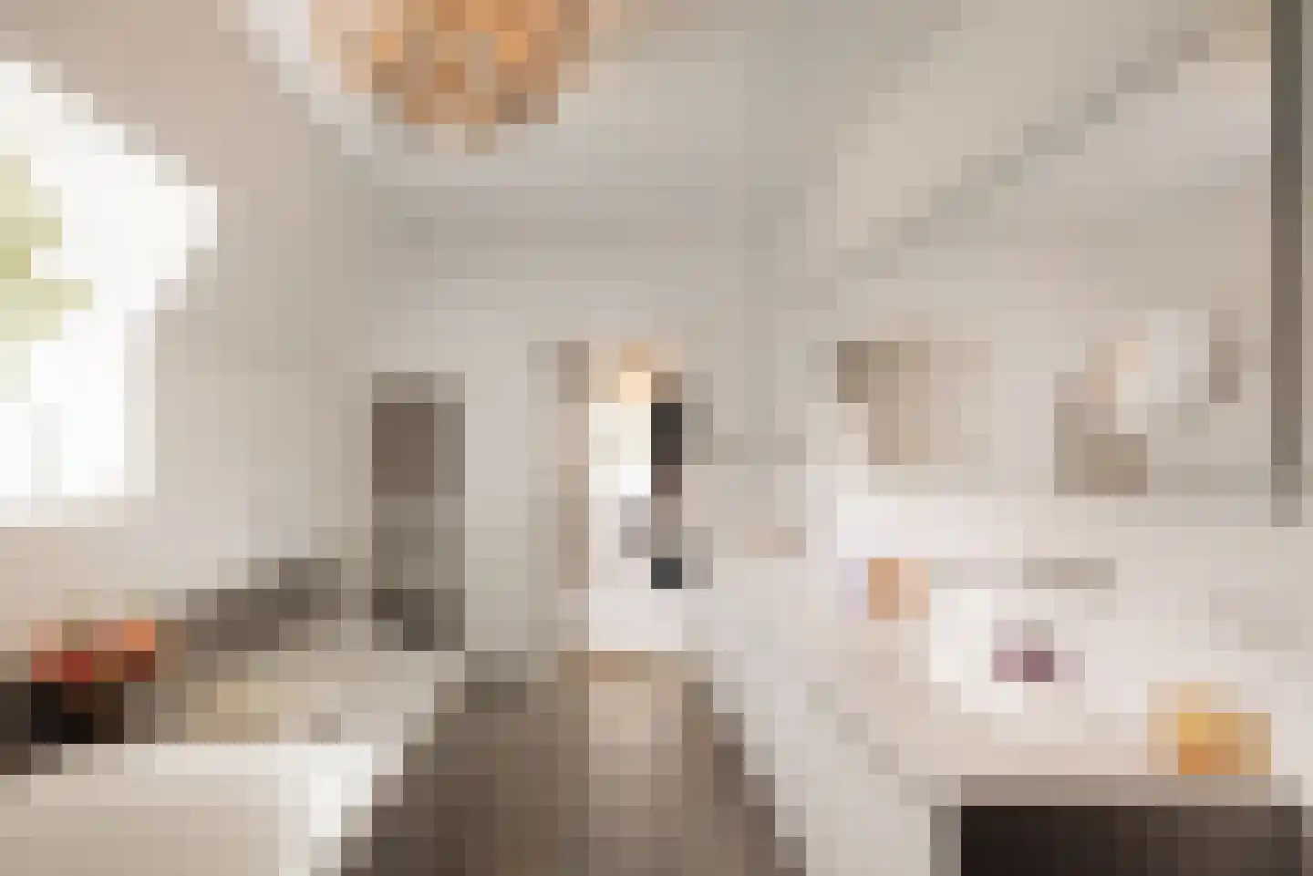 Flevolaan 3 Huizen thumbnail 23