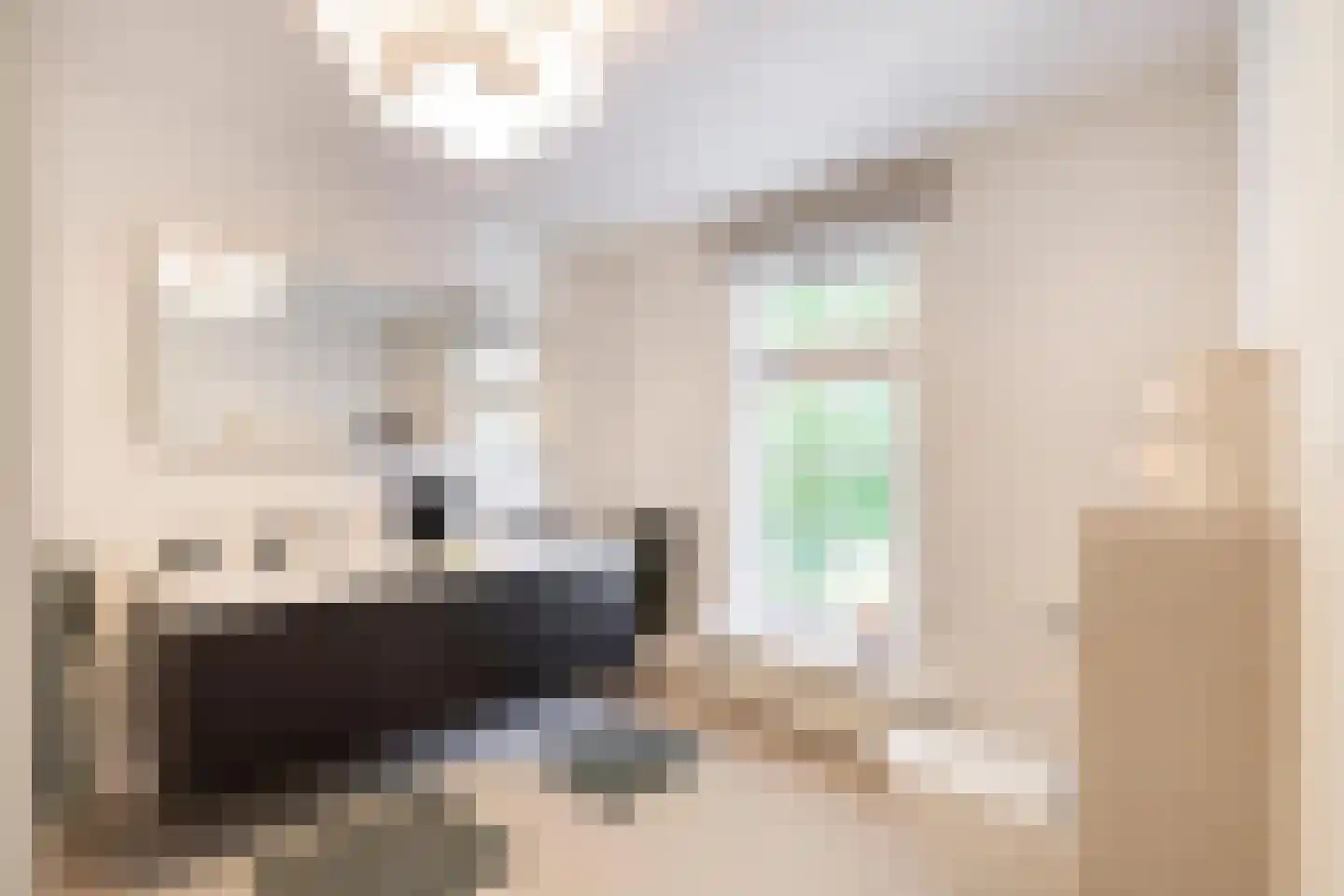 Flevolaan 3 Huizen thumbnail 28