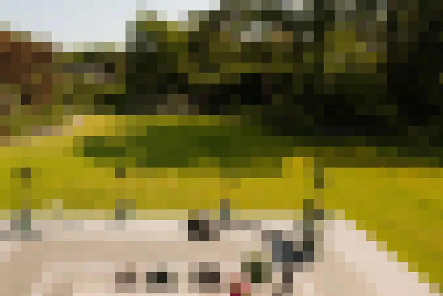 Flevolaan 3 Huizen thumbnail 29