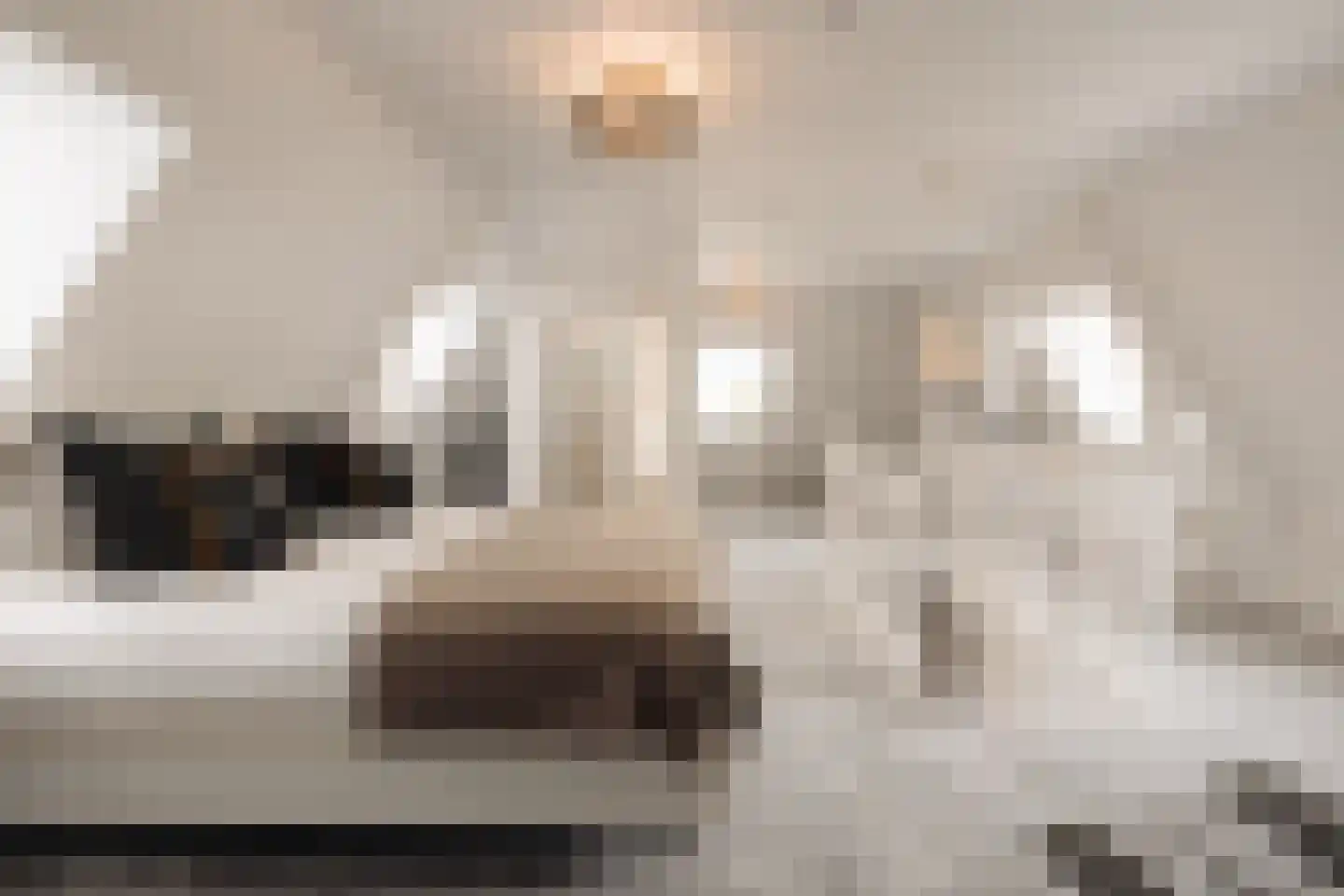 Flevolaan 3 Huizen thumbnail 30