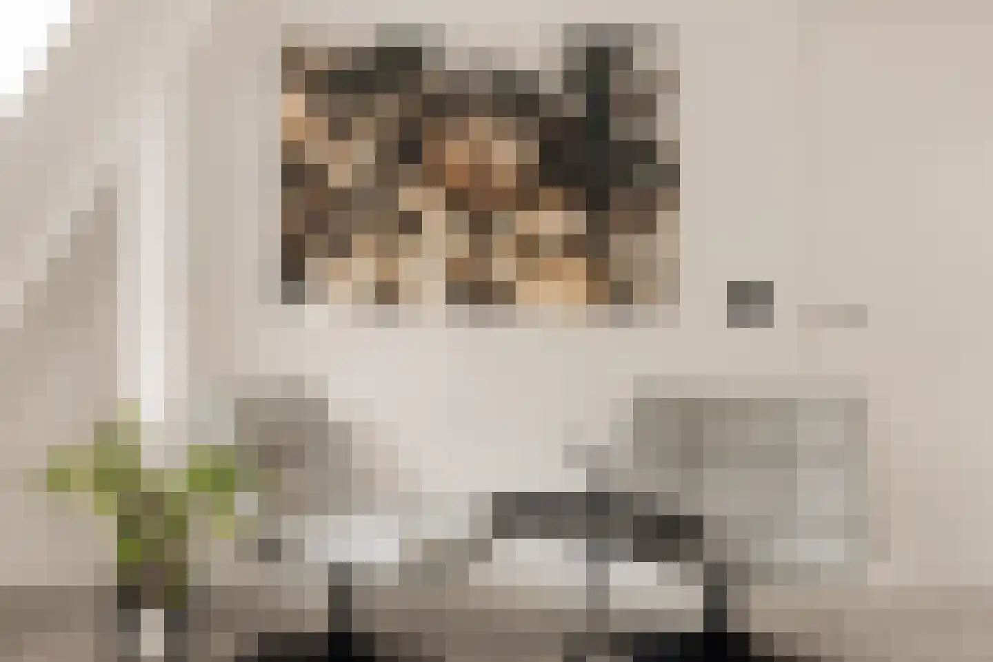 Flevolaan 3 Huizen thumbnail 32