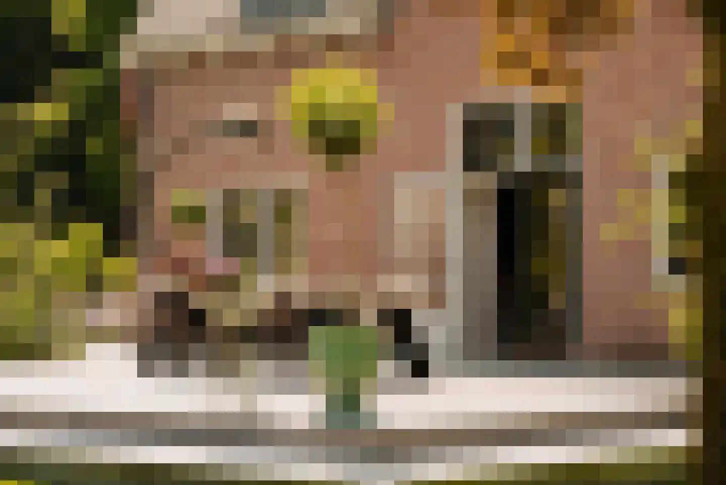 Flevolaan 3 Huizen thumbnail 35