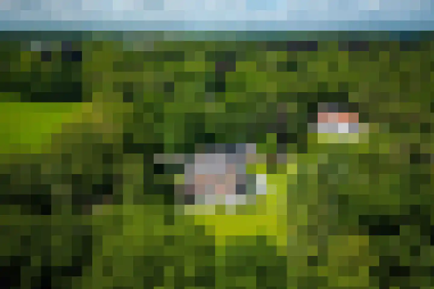 Flevolaan 3 Huizen thumbnail 4