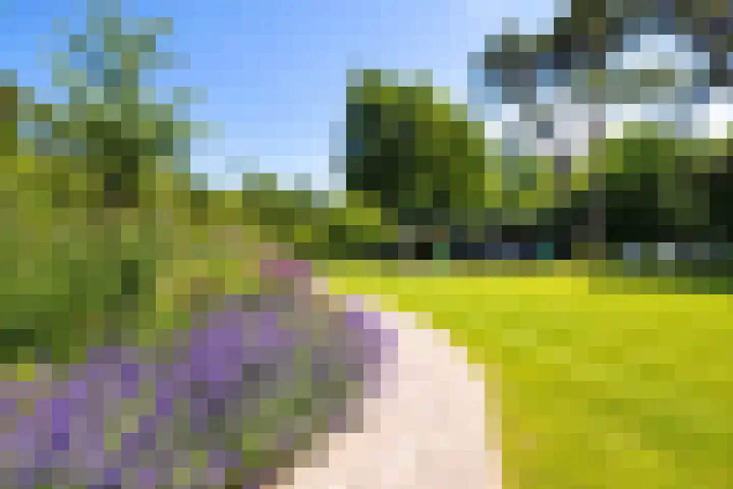 Flevolaan 3 Huizen thumbnail 43