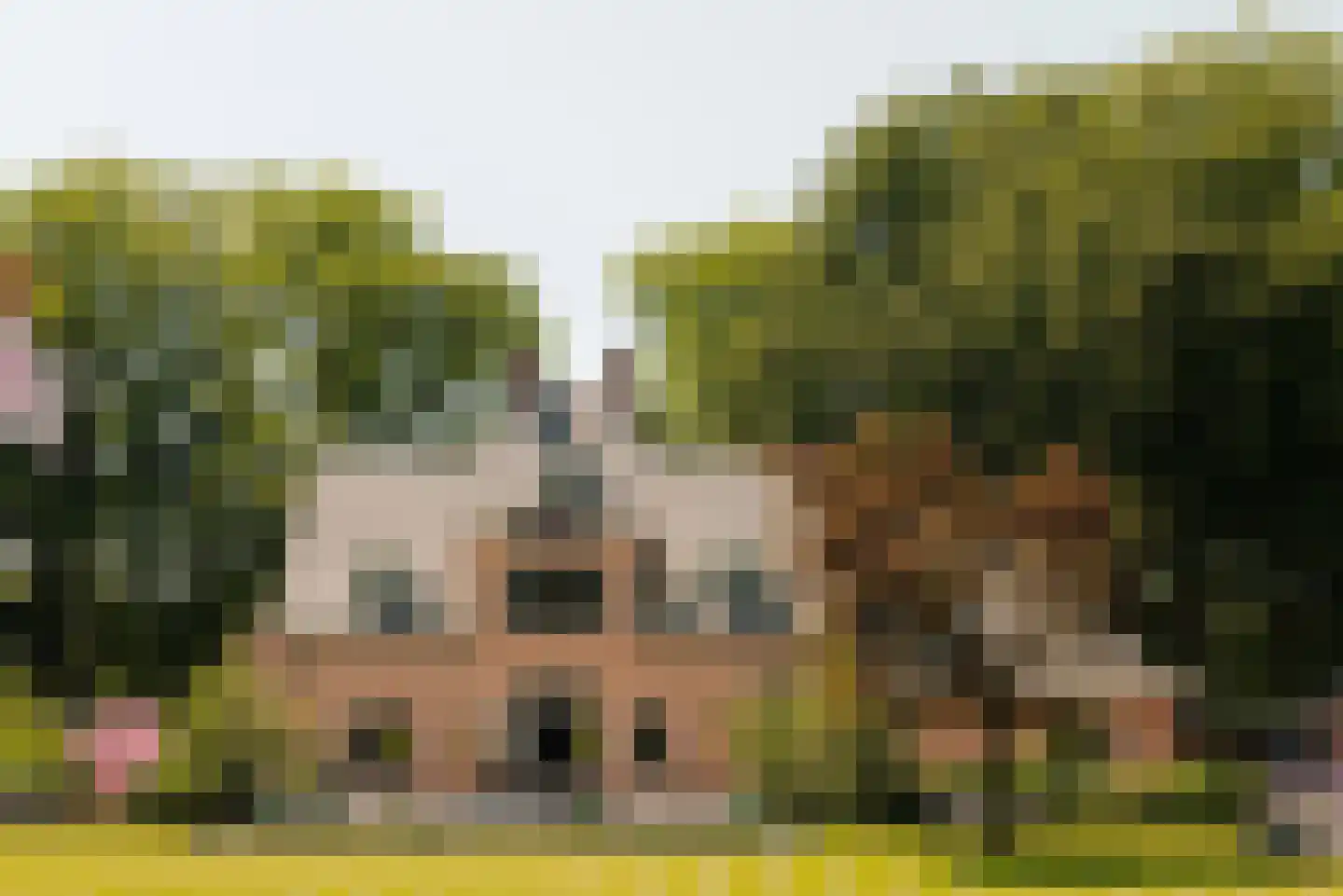 Flevolaan 3 Huizen thumbnail 48