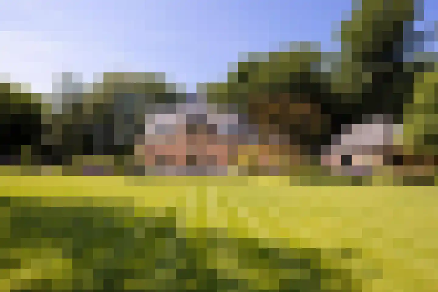 Flevolaan 3 Huizen thumbnail 49