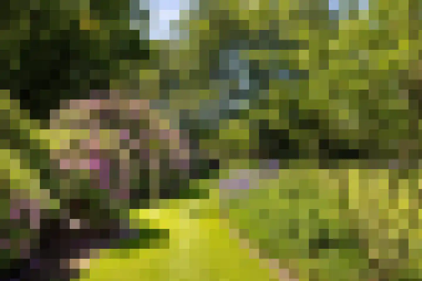 Flevolaan 3 Huizen thumbnail 50