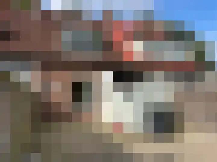 Flevoplein 17 Haarlem thumbnail 11