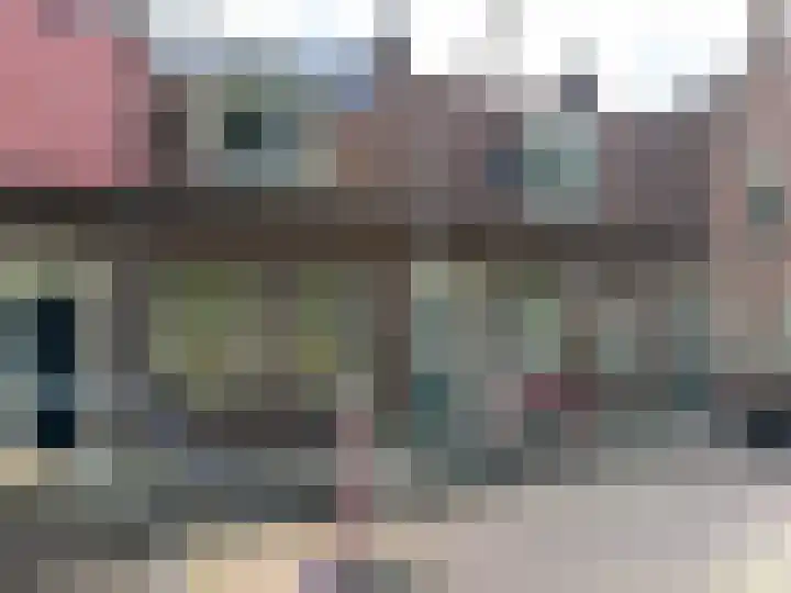 Flevoplein 17 Haarlem thumbnail 22