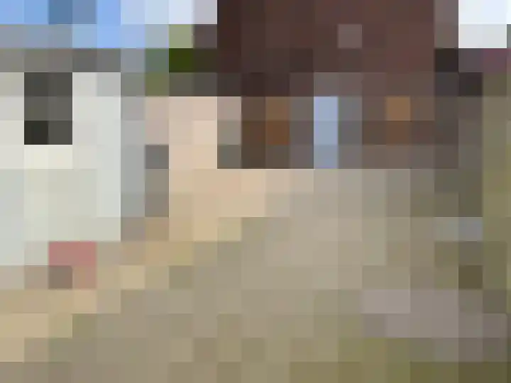 Flevoplein 17 Haarlem thumbnail 9