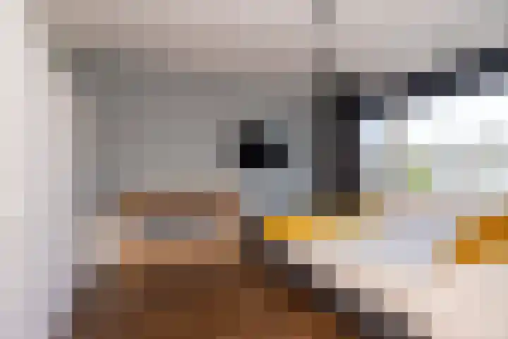 Flevosingel 42 Medemblik thumbnail 26