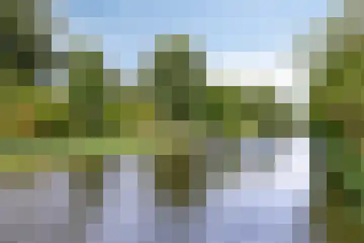 Flevostraat 29 Purmerend thumbnail 31