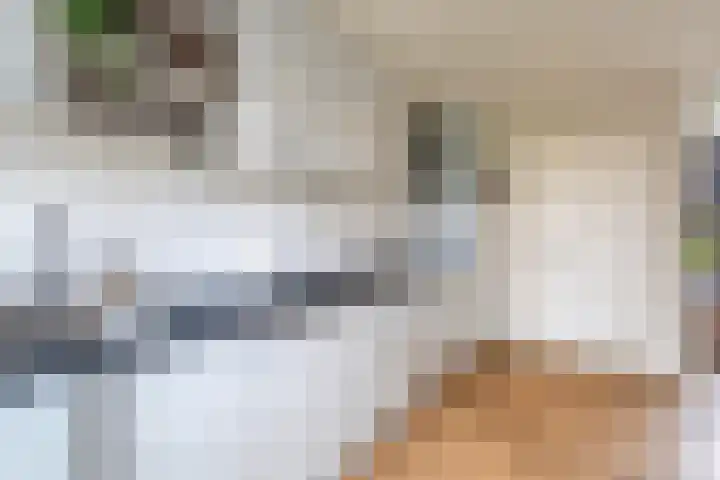 Flierakkers 4 Vroomshoop thumbnail 12