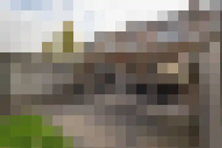 Flierakkers 4 Vroomshoop thumbnail 18