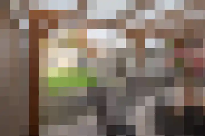 Flierakkers 4 Vroomshoop thumbnail 20
